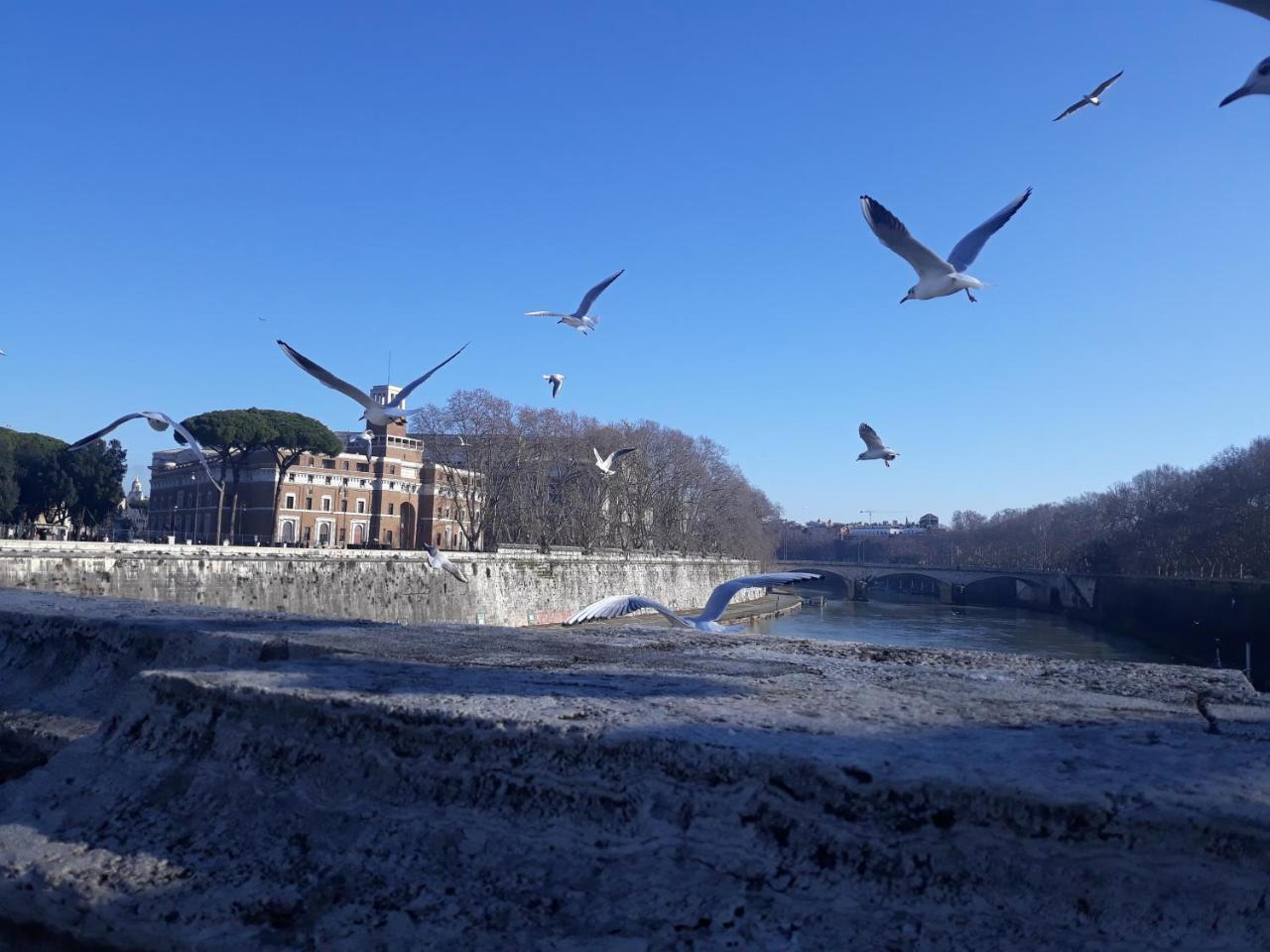 Lungotevere Collection Suite Roma Exterior foto